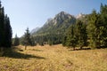 Glade in the Bucegi Mountains Royalty Free Stock Photo