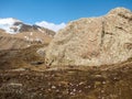 Glade of the first snowdrops primroses in the mountains. The beginning of spring in the high mountains