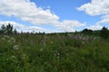 Glade, flowers and clouds on blue sky summer landscape