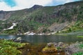 Glade of multi-colored mountain flowers yellow pink on the shore of a clean mountain lake in siberia, peak, reflection Royalty Free Stock Photo