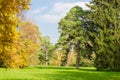 Glade in park among a conifers and deciduous trees Royalty Free Stock Photo