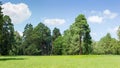 Glade in park covered with grass against of conifers trees Royalty Free Stock Photo