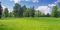 Glade in park covered with grass against of trees Royalty Free Stock Photo