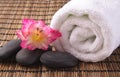 Gladiola,black pebbles and white towel Royalty Free Stock Photo