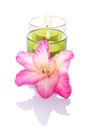 Gladiola and candles Royalty Free Stock Photo