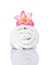 Gladiola and Towel Royalty Free Stock Photo