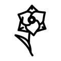 gladiolus flower line icon vector illustration
