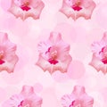Gladiolus flower vector seamless pattern. Royalty Free Stock Photo