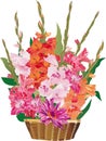 Gladiolus flowers in basket Royalty Free Stock Photo