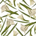 Gladiolus seamless pattern Hand drawn watercolor digital illustration of white flowers and leaves.