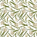 Gladiolus seamless pattern Hand drawn watercolor digital illustration of white flowers and leaves.