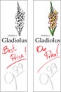 Gladiolus - Two price Tags