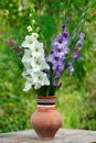 Gladiolus in vase