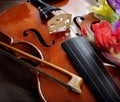 Gladiolus and violin. violin and flowers on a silk background. Royalty Free Stock Photo