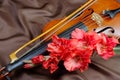 Gladiolus and violin. violin and flowers on a silk background. Royalty Free Stock Photo