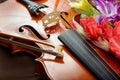 Gladiolus and violin. violin and flowers on a silk background. Royalty Free Stock Photo