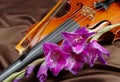 Gladiolus and violin. violin and flowers on a silk background. Royalty Free Stock Photo