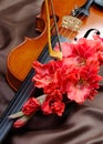 Gladiolus and violin. violin and flowers on a silk background. Royalty Free Stock Photo