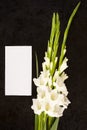 Gladioly flowers with blank paper for obituary notice. Royalty Free Stock Photo