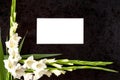Gladioly flowers with blank paper for obituary notice.