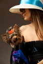 Glamor woman with Yorkshire Terrier Royalty Free Stock Photo