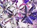 An glamorous artistic design of colorful graphic pattern of leaves of plants