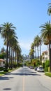 Glamorous Beverly Hills. A Vertical Oasis of Palms