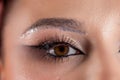 A Glamorous Eye Makeup CloseUp featuring Sparkling Details and Creative Visual Elements Royalty Free Stock Photo