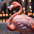 A glamorous flamingo in a sparkling evening gown, dancing under the stars2