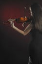 Glamorous girl with a long brown hair playing the violin