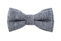 Glamorous gray bow tie isolated on white background Royalty Free Stock Photo
