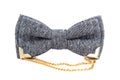 Glamorous gray with a gold chain bow tie isolated Royalty Free Stock Photo