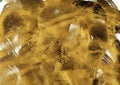 Glamour glistering gold texture. Modern art Royalty Free Stock Photo