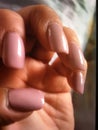 Glamourous Manicured female nails