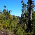 A glance of another mountain peak from top of Cypress provincial park Royalty Free Stock Photo