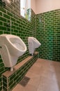 Glance into an extraordinary guest toilet. with two urinal