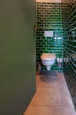 Glance into an extraordinary guest toilet. with wall-hung toilet