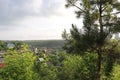 Glance through nature Royalty Free Stock Photo