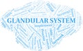 Glandular System typography vector word cloud.