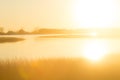 Glare of sunset over a marsh at Milford Point, Connecticut. Royalty Free Stock Photo