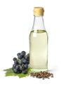 Glas bottle with grape seed oil isolated on white background Royalty Free Stock Photo