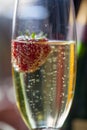 Glas of sparkling wine or champagne and strawberry