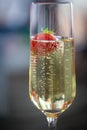 Glas of sparkling wine or champagne and strawberry