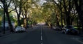 Glasgow Kelvin Way Tree Covered Road