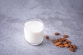 Glass of Almond milk and almond seeds Royalty Free Stock Photo