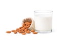 Glass of Almond Milk with seeds Royalty Free Stock Photo