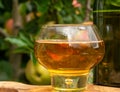 Glass of apple cider from Normandy, France and green apple tree with ripe red fruits on background