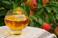 Glass of apple cider from Normandy, France and green apple tree with ripe red fruits on background