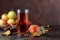 Glass of apple juice or cider with juicy apples and cinnamon sticks. Royalty Free Stock Photo