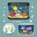 Glass Aquarium Set